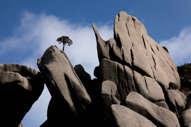 Huangshan mountain rock formations in Anhui China.