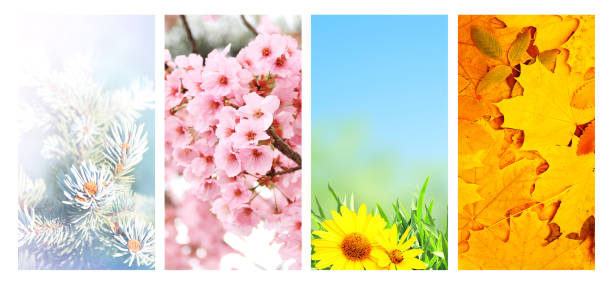 istock Four seasons of year 1332723380