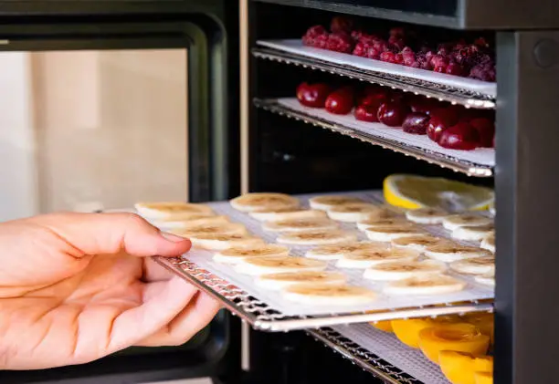 Person hand putting a tray with banana slices  into a food dehydrator machine. Close-up