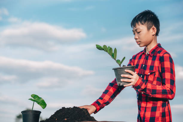 Children planting the tree in pot on blue sky background, dirt soil for planting flowers on ground, Asia kid smile and holding pot of flower, green leaf of auspicious tree for seeding favorite tree stock photo