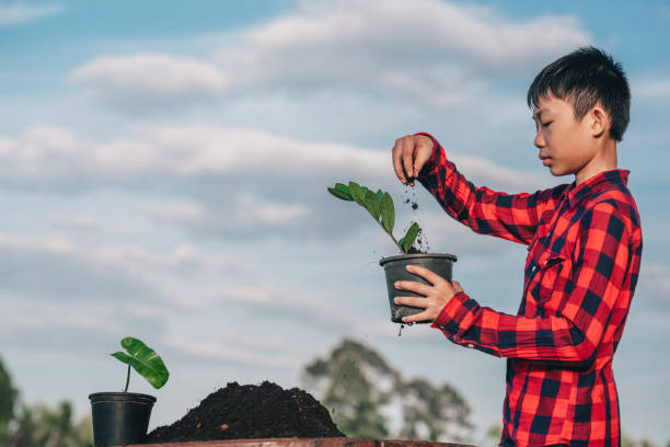 Children planting the tree in pot on blue sky background, dirt soil for planting flowers on ground, Asia kid smile and holding pot of flower, green leaf of auspicious tree for seeding favorite tree stock photo