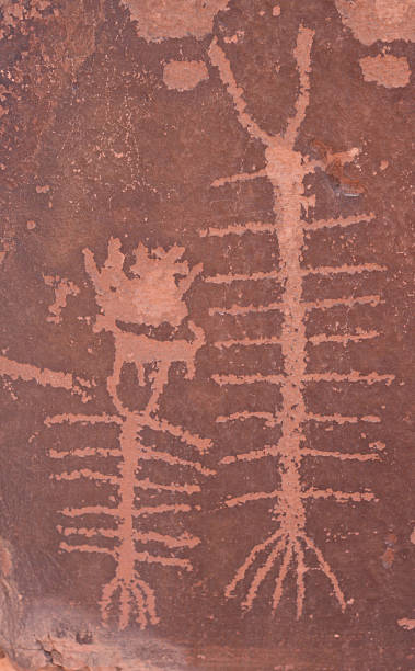 istock Genuine Indian Petroglyph of Centipede 133273162