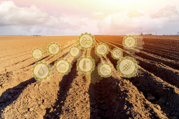 istock Innovative technology pictogram on a spring farm field. Development of technology improvements for increased the farming season by planting more resistant plant crops. 1332734454
