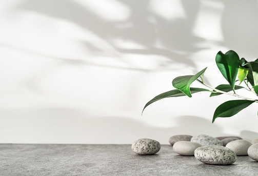 White and grey textured stone podium with sea pebbles, green leaves and plant shadow pattern. Mockup for the demonstration of cosmetic products with copy space.