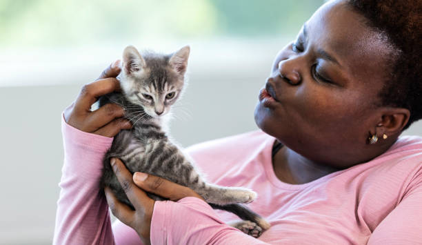 istock African-American woman holding kitten 1332737459