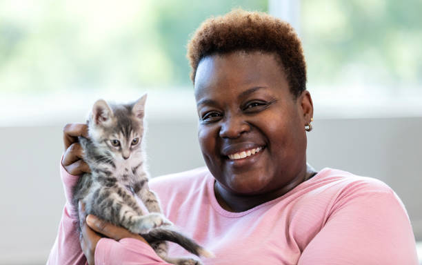 istock African-American woman holding kitten 1332737461