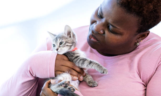 istock African-American woman holding kitten 1332737470