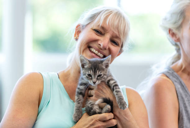 istock Mature woman holding cat, smiling at camera 1332737478