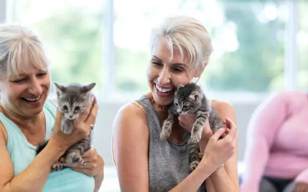 Photo of Two mature women in yoga class with cats