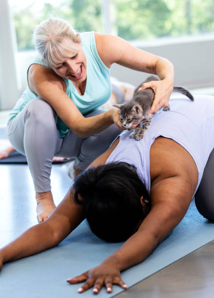 istock Two multi-ethnic women in yoga class with cat 1332737538