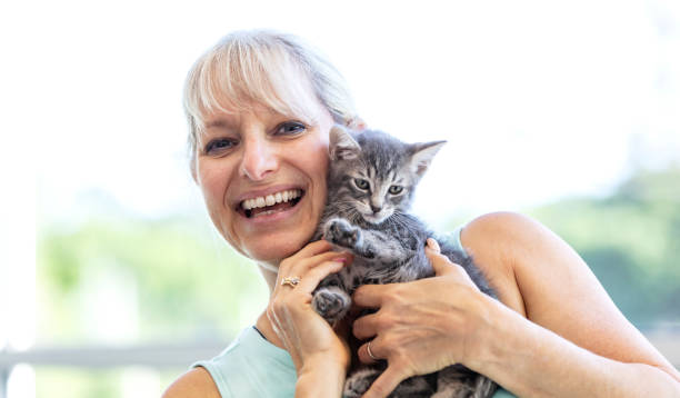 istock Mature woman holding kitten, laughing 1332737544