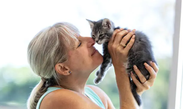 Photo of Mature woman holding kitten up, rubbing noses