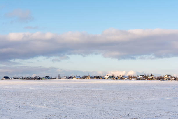 Snowy field with rare dry tava. On the horizon are the houses of a small village. Blue sky with a strip of clouds. Nature background stock photo