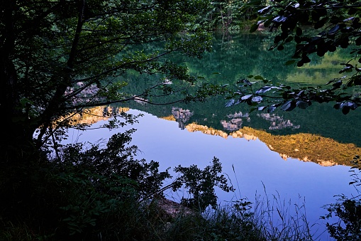 evening hour in the Cevennes National Park