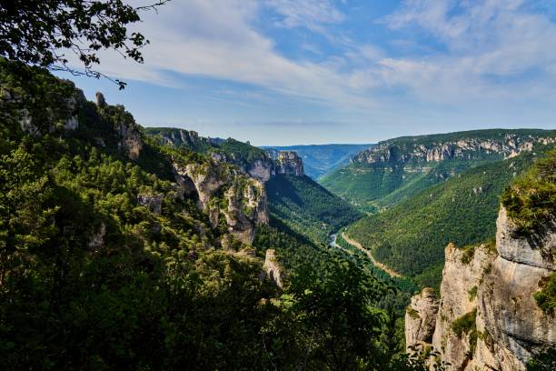 istock the deep forested valley of the Gorges Du Tarn 1332743990