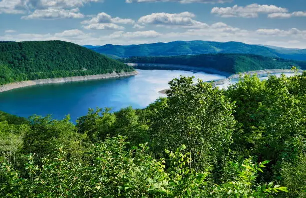 Forest and nature setting in the Edersee, a reservoir in Waldeck-Frankenberg, Hesse, Germany