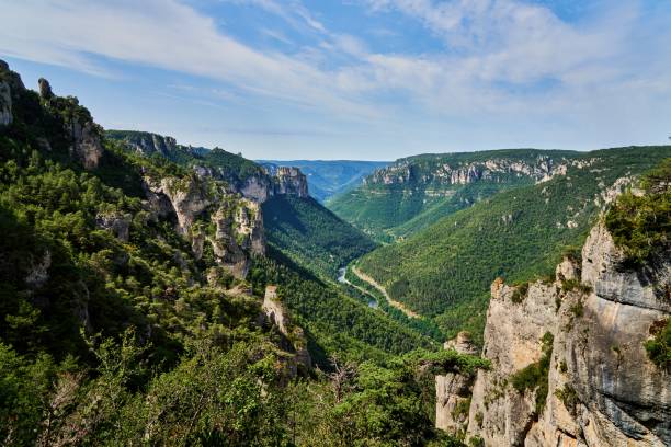 istock the deep forested valley of the Gorges Du Tarn 1332744044