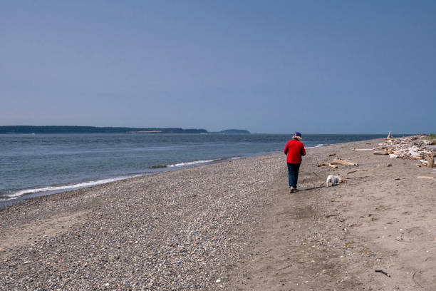 휘드비 섬에서 개를 걷는 노인 여성 스톡 사진