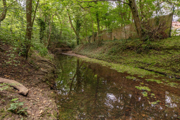 istock Dollis Brook, Mill Hill East 1332750958
