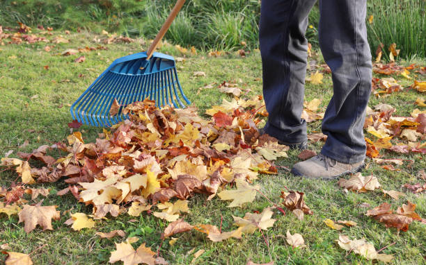 istock Person rake autumn bright maple leaves on grass 1332751897