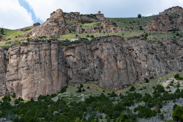 istock The Black Hills National Forest 1332754021