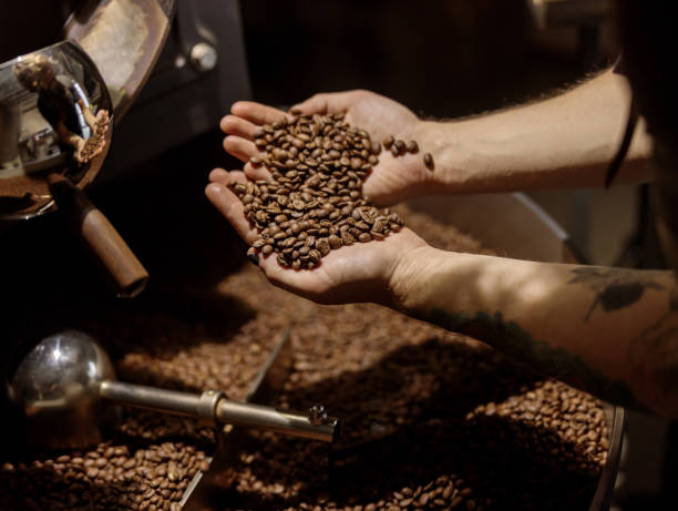 istock Male hands holding freshly roasted coffee beans 1332755141