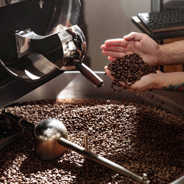 istock Male worker checking quality of freshly roasted coffee beans 1332755142