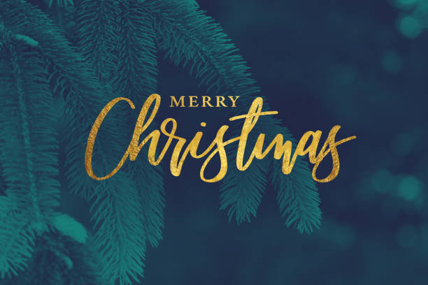 Gold Merry Christmas Calligraphy Holiday Script with Evergreen Background