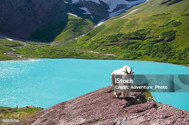 Vista A La Majestuosa Montaña Y Aguamarina Glacial Lago Goat Foto de stock y más banco de imágenes de Parque Nacional de los Glaciares - Parque Internacional de la Paz Waterton-Glacier