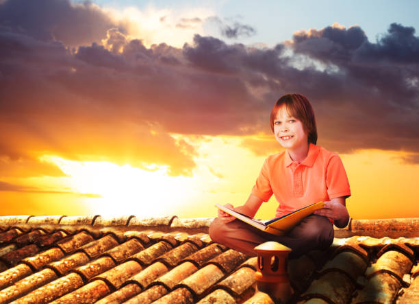 istock Boy sit on a roof and read book, view over sunset 1332763381