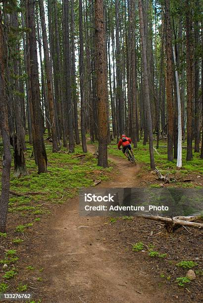 Atleta In Mountain Bike Singletrack In Montagna - Fotografie stock e altre immagini di Albero - Albero, Ambientazione esterna, Andare in mountain bike