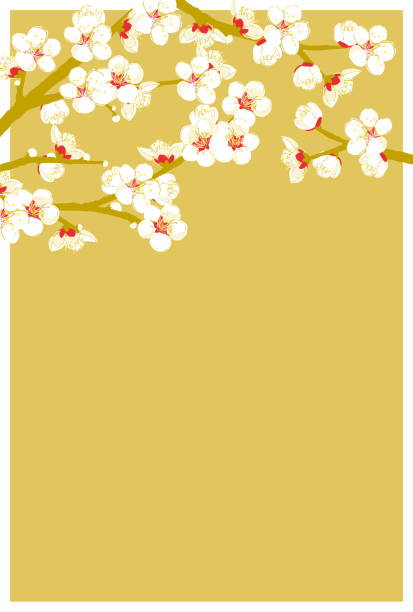 Plum blossom Plum blossom plum blossom stock illustrations