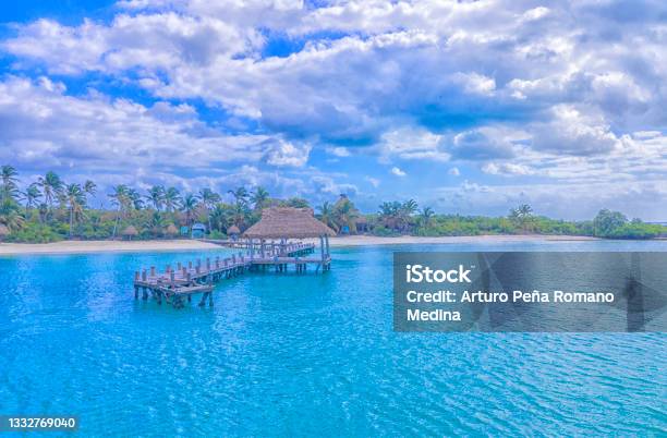 Contoy Island Stock Photo - Download Image Now - Contoy Island, Cancun, Beach