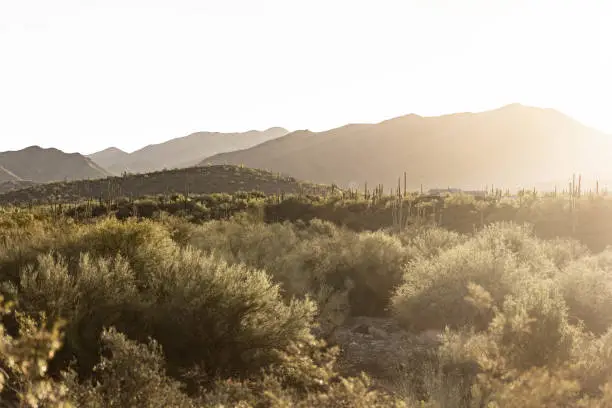 As the sun peaks over the mountains of the Arizona desert, a hazy scene is revealed.