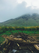 green-mountain-sri-lanka.jpg?b=1&s=170x170&k=20&c=54ZkoGd_oM3HDNqPSp6jwLYpZCYKqLA-hMQezKwQ8Ao=
