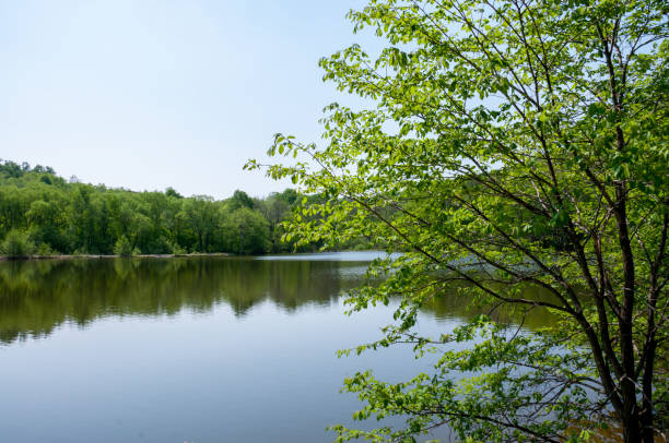 istock Summer landscape: a lake among green hills 1332782443