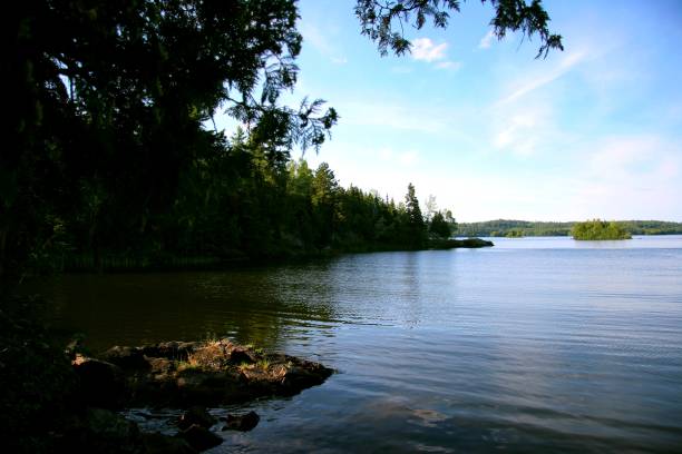 istock Shagawa Lake, Ely, MN from shore 1332784359