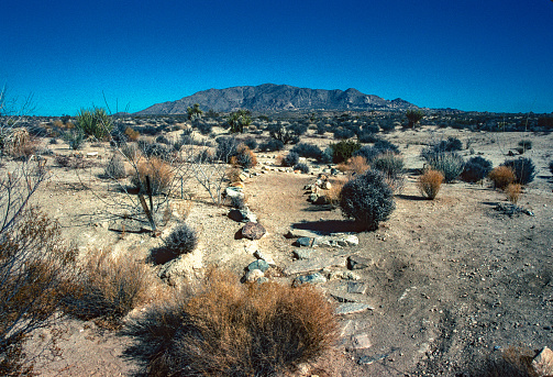 Joshua Tree NP - Trail with Distant Mountain - 2007. Scanned from Kodachrome 64 slide.