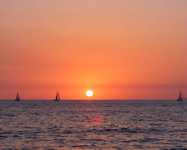 istock Sailboats at Sunset 1332785929