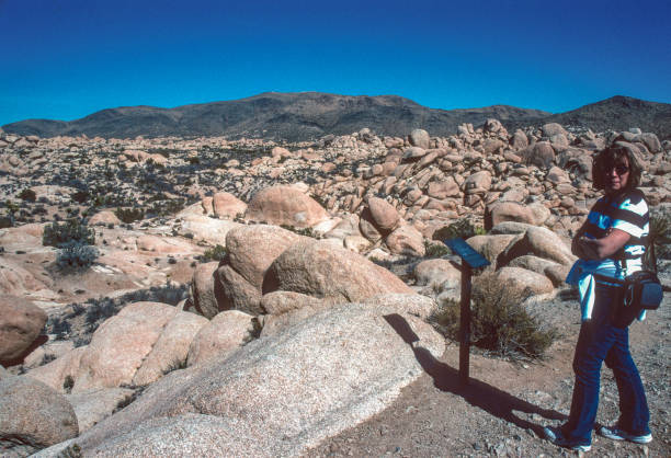 istock Joshua Tree NP - Hiker on Arch Rock Trail - 2007 1332786740