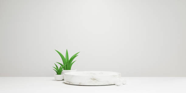 Minimal scene of cylinder marble podium in white background with green plant for product presentation , mock up and display cosmetic or stage pedestal concept by 3d render technique. Minimal scene of cylinder marble podium in white background with green plant for product presentation , mock up and display cosmetic or stage pedestal concept by 3d render technique. digital viewfinder stock pictures, royalty-free photos & images