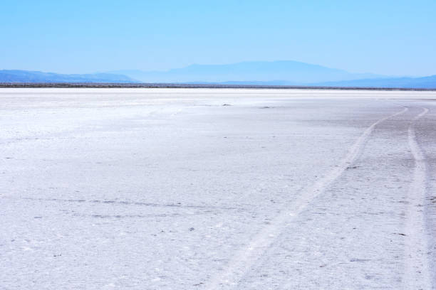 Car tire tracks lead into distant mountain ridge across dry lake bed of Soda Lake at Carrizo Plain National Monument Car tire tracks lead into distant mountain ridge across dry lake bed of Soda Lake at Carrizo Plain National Monument, California carrizo plain stock pictures, royalty-free photos & images