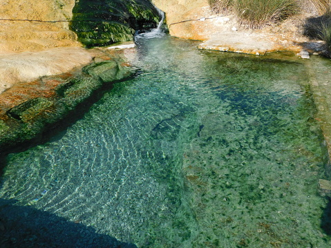 Thermal spring of Thermopylae, in Greece.  Warm, sulfur rich water from the spring, forming a green pond