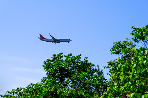 Take-off aircraft on the background of the jungle and trees