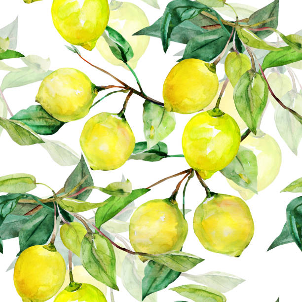 bezszwowy wzór cytrynowy - painted image food fruit wallpaper pattern stock illustrations