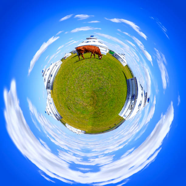 istock A herd of cattle was grazing on the prairie 1332805823