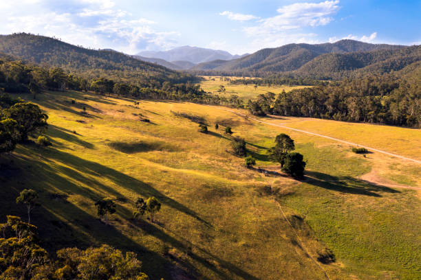Wonnongatta, Victorian High Country Aerial view at Sunset of the Victorian high country, Wonnongatta Station high country stock pictures, royalty-free photos & images