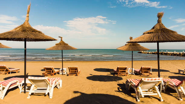 istock straw umbrellas on the sandy beach 1332812423