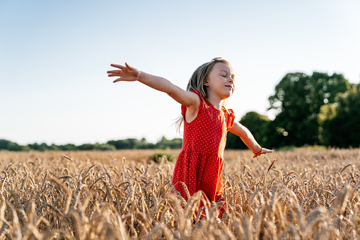 Summer scene - a cute smiling little girl wearing red polka dot dress standing in a field of wheat with closed eyes and raised arms. Clear sunset sky is on the background.