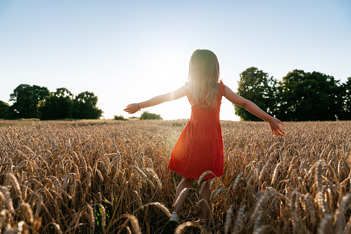 Photo from the back of a little girl standing in a ripe field of wheat with raised hands in sunset.